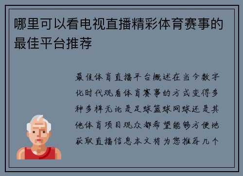 哪里可以看电视直播精彩体育赛事的最佳平台推荐