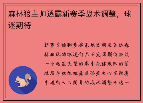 森林狼主帅透露新赛季战术调整，球迷期待